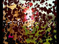 Video screenshot