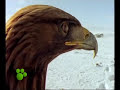 enomine - espiritu del aire enomine - espiritu del aire
