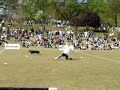2006 USDDN DISC DOG SOUTHERN NATIONALS