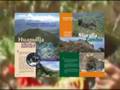 revista huambo