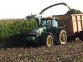 Mt Elgin Silage 2008