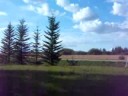 three ponds to the north 2