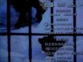 Asahiyama Doubutsuen Drama 29, Hokkaido ZooLast one.