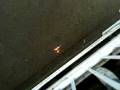 Fun met sterretjes.wmv