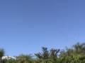AMAZING DAYLIGHT UFO VIDEO IN FLORIDA