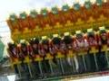 Fête des Loges