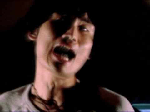 THE モールスシンゴーズ/アイロニー(2009)