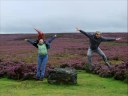 heather moors