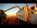 Canada Grain Harvest, GoPro High Definition