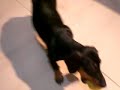 Cuqui Mi Ni�a Bonita...