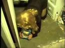 Madonna M...
