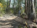 Beechworth Downhill Track \"Jake\"