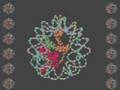 Nucleosome: Histone Octamer and Wrapping DNA