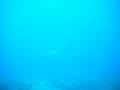 DSCF0349.AVI