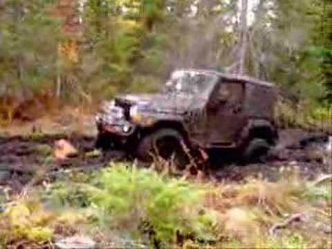 jeepnfld