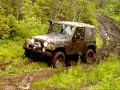 jeepnfld