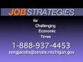 Sen. Gilda Jacobs 'Job Strategies for Challenging Economic Times' town hall psa