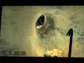 Half-Life 2: Episode 2 ingame part 2(out of 5)