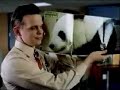 Pretty Panda