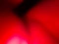 20081115012.mp4 20081115012.mp4