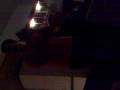 20081115012.mp4