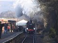 41312 & 80002 Ingrow 17-02-08