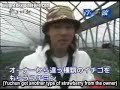 DBSK \"Onryu Strawberry Picking & Eating\" [Sub]