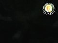 SurvivHor - Dino Crisis 1- Elements betas SurvivHor - Dino Crisis 1- Elements betas