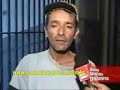 a revolta dos felinos