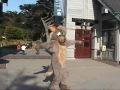 Yippee Coyote - Austin Powers dance