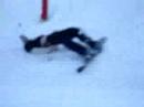 etienne ski snowblade vosges neige bresse montage cul