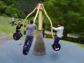 Swing In Wellington