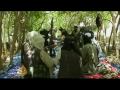 Foreign troops 'suffer losses' in Afghanistan- 11 Jul 09