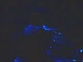Tricky - Vent (Live NY 091699)14of15