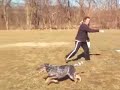 Winter Disc Dog Training......2008 Edition! Winter Disc Dog Training......2008 Edition!