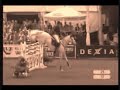 Horses- Rockstar Horses- Rockstar