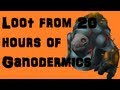 Loot from 20 hours of Ganodermic beasts