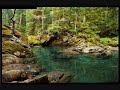 river virtual screensaver, water reflection meditation