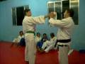 Defesa Pessoal com Prof� Fernando Amando