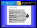 AGORACOM Online Conference - Keynote Speaker - Barry Ritholtz Part 2 of 4.flv
