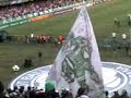 Bandeiras - Império Alviverde - Coxa e Palmeiras