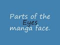 Manga clothing and face drawings