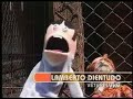 juan carlos bodoque y los perros de la calle