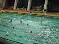 SG Wasserball Dresden - SV Halle (Regionalliga Ost)