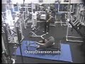 Un tonto en el gimnasio 