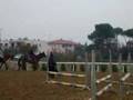 videos de silvina col salto