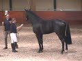 Zenon KWPN goedgekeurd 2007 verrichtingsonderzoek