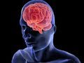 What Are Antioxidants? (Mental Health Guru)