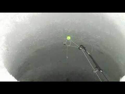 how to attach spring bobber