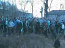 uppies